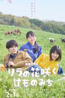 丁香花电影播放百度